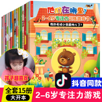 他们在哪里2-6岁专注力思维训练游戏书注意力幼儿童早教图画捉迷藏找不同数学逻辑训练迷宫书3-6岁幼儿书籍