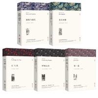世界经典文学名著全套5册 红与黑堂吉诃德傲慢与偏见呼啸山庄简爱 全译本外国小说青少年版学生版 世界名著