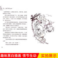 罗尔德·达尔作品典藏6册 了不起的狐狸爸爸+女巫+好心眼儿巨人