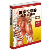 推拿按摩的解剖学基础 肌骨触诊与扳机点 第五版第5版(美)安德鲁 比尔著 山东科学技术出版
