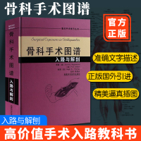 骨科手术图谱入路与解剖实用骨科学医学书籍骨科手术入路图谱籍骨关节功能解剖学