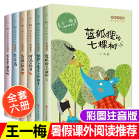 全套6册 王一梅的飞翔经典童话系列 蓝狐狸的七棵树 胡萝卜先生的长胡子贝壳鸟书本里的蚂蚁注音版