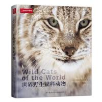 世界野生猫科动物 值得收藏的野生大猫家谱画册