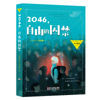 2042背包里的天空2047瞎了眼的灯塔后十全九美的结局 悬念时空儿童文学科幻探险小说