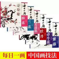 每日一画兰花竹子牡丹梅花牵牛花紫藤国画牡丹水墨画入教材书全套6册