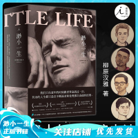 渺小一生 柳原汉雅 爱总是所有问题的解答 四年的现象级友谊史诗 入围欧美三大文学奖 文学