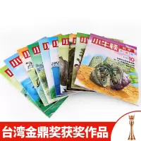 全10册正版小牛顿科学大世界第2辑小牛顿爱探索科普绘本科学馆