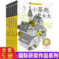5册小茶匙老太太冰雪巨人暖暖华夫心我要荣耀终点线国际获奖作品儿童文学典藏书系湖南少年