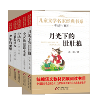 全5册带刺的朋友 小橘灯 少年的荣耀 小灵通漫游未来 月光下的肚肚狼