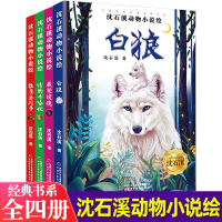 儿童文学名家经典书系 沈石溪动物小说绘全4册雄鹰金闪子白狼藏獒渡魂情豹布哈依8-14岁小学生课外阅读书