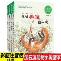 全套沈石溪动物小说全集4册第七条猎狗后一头战象*飞渡再被狐狸一次注音版经典名著一二年级必读