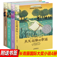 长青藤国际大奖小说系列全套4册 四五六年级小学生课外阅读书籍 从天而降的幸运 蓝莓季节 地下121天宇宙后一本书