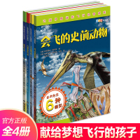 让孩子痴迷的飞行科普系列全4册书幼儿恐龙王国动物书dk博物大百科dk百科