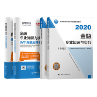 官方正版中级经济师2020年教材金融专业基础知识历年真题全套图书