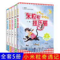 小米粒奇遇记全套5册王一梅著米粒和挂历猫/蓝泪/神奇彩蛋/糖巫婆/蛤蟆城堡