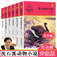 沈石溪品藏书系动物小说系列全套6册 白天鹅白象家族黑天鹅紫水晶导盲犬迪克母豺火烧云野犬女皇小学生
