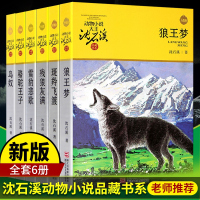 狼王梦沈石溪品藏书系动物小说系列全套6册 *羊飞度骆驼王子鸟奴雪豹悲歌经典品藏儿童文学 四五六年级小学生课外阅读