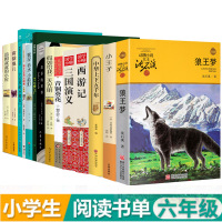 六年级必读书目狼王梦苏菲的世界七号梦工厂十五岁的小船长活了一百万次的猫假如给我三天光明雾都孤儿汤姆叔叔的小屋课外阅读书籍