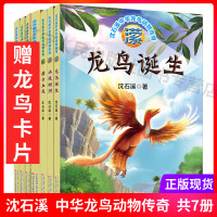 沈石溪中华龙鸟动物传奇全套龙鸟诞生澄温血动物淑死里逃生泱决战树洞潆屼擂台血战崆悲剧开始崆霸主陨灭