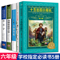 六年级必读经典书目全5册十五岁的小船长活了一百万次的猫小王子青铜葵花汤姆叔叔的小屋正版书大叔