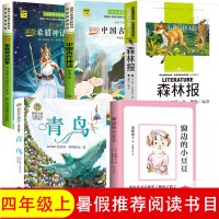 全套5册 中国古代神话故事四年级 希腊神话与英雄传说青鸟书正版 森林报 窗边的小豆豆