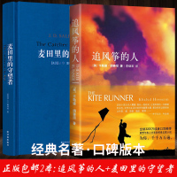 [书]原著原版 追风筝的人胡塞尼著 麦田里的守望者施咸荣精装版中文翻译书籍文学小说2018版新版