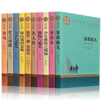 世界十大经典文学名著 名家名译套装正版全10册 茶花女雾都孤儿名人传傲慢与偏见青鸟金银岛青少年版课外阅读