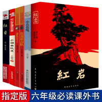 铁道游击队小游击队员赤色小子小兵张嘎红岩红日书六年级必读课外书小学生四五年级课外阅读书籍红色经典革命抗日英雄故事书小说
