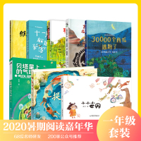 小小小世界捉鱼去贝塔星上的气球30000个西瓜逃跑了苏和一只名叫苏的恐龙十一只麻雀学写诗猴子捞月亨利去丛林探险一年级书籍