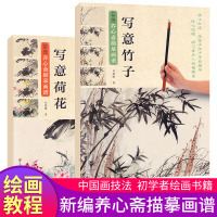 全2册新编养心斋描摹画谱写意竹子写意荷花中国山水画技法绘画入自学零基础教程初学者写意国画水墨画从入到精通手绘教材