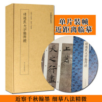 褚遂良大字符经 近距离临摹碑帖丛刊 近察千秋翰墨 细摹八法精微 毛笔书法 经文 历史 爱好者读物 浙江人民美术出版社
