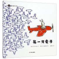 漂流瓶绘本馆 另一只兔子 马兰科林克 文 马丁 范德林登 图 适合3至6岁儿童阅读图画书本 具有较强思维训练功能 正版