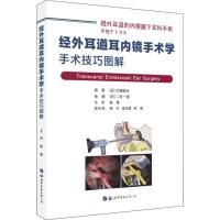 经外耳道耳内镜手术学手术技巧图解 耳鼻喉科医学及神经外科医生相关诊断学临床实用书耳内镜外科学内附高清内镜照片解剖插图 世