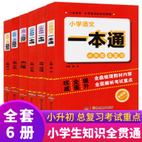 全套6册 小学语数外一本通 升学夺冠基础知识宝典大全升初必刷题专项训练小考复集结含作文教材全解重点学生教辅材料 湖南