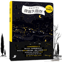 黑夜中的亮点 夜游大自然 一本璀璨神秘的发光书 佩特拉巴拉提科瓦 幼儿启蒙绘本图画书亲子睡前互动 发现黑夜中的大自然 石