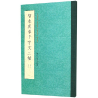 智永真草千字文二种 初学者入毛笔行书技法练字字帖碑帖 毛笔书法鉴赏临摹基础指南 浙江人民美术出版社