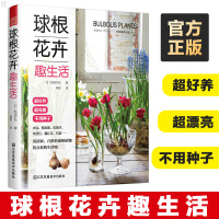 球根花卉趣生活 不用种子 超漂亮 超好养 手把手教你玩球根从小白到达人室内植物盆栽花卉 正版 自然植物科普百科 花艺书江