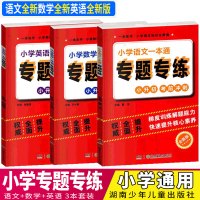 全3册小学数学语文英语一本通专题专练习 小升初考前冲刺 小学教辅总复习题集梳理教材内容解析考试重点学生教辅材料 湖南少年