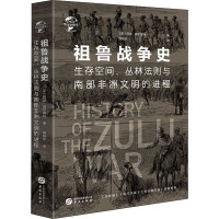 华文史062 祖鲁战争史 阿瑟 威尔莫特 讲述祖鲁国王夏卡的对外战争与军事制度深刻剖析了生存空间 世界非洲历史通史书籍