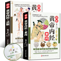 图解帝内经白话版素问灵枢经 彩图全套2册原著译文内经中医正版 灵枢针灸素问校释古典中医药学基础理论入大白话养生