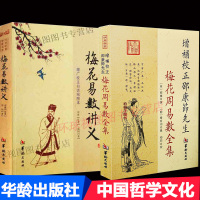 正版 梅花易数讲义 梅花周易数全集 全2册 增补校正邵康节先生 周易解读 周易悬镜 易占方法 占卜 周易 算卦书籍