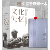 文化失忆:写在时间的边缘 精装