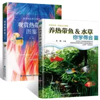 养热带鱼 水草+热带观赏鱼图鉴(2册) 观赏鱼书籍热带鱼养殖技术书籍 热带鱼饲养与鉴赏 水草鱼类养殖知识书 水草养护培育