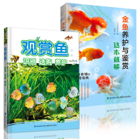 金鱼养护与鉴赏这本就够+观赏鱼识别选购养护(2册)观赏鱼书籍 热带鱼观赏鱼养殖书 新手学养金鱼入教程书籍 家用养鱼经验