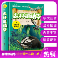 森林报精华版注音彩图版 7-9-14岁小学生课外阅读书籍三四五六年级儿童读物必读班主任推荐故事