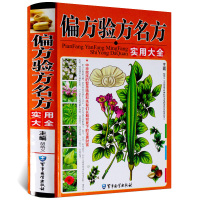 偏方验方名方实用大全 中华传统医药食疗药疗理疗偏方验方名方