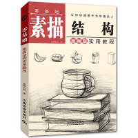 零基础素描结构实用教程 从零起步素描实用教程