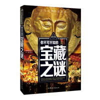 你不可不知的宝藏之谜 少年探索发现系列 青少年百科全书幼教