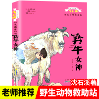 羚牛女神/野生动物救助站/动物小说大王沈石溪 沈石溪//马轩旻 著 儿童文学 少儿 安徽少年儿童出版社