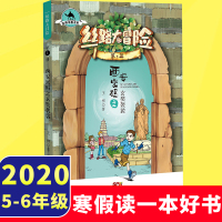 丝路大冒险西安密码之玄奘袈裟2020寒假读一本好书]王柳著儿童文学9-12岁小学生课外阅读书籍少儿童冒险小说故事老师指定